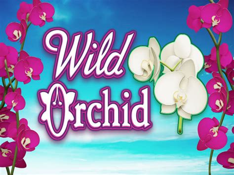 wild orchid slot machine|Wild Orchids .